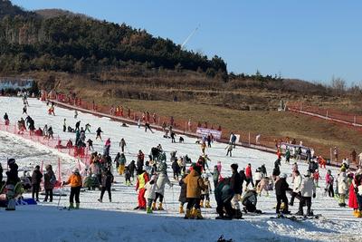 冬游西海岸年味足，消费场景多点开花