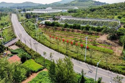 青岛谋划新一轮农村公路提升行动，今年建设养护约600公里
