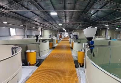 开局“十五五”奋斗正当时丨用上循环水 效益翻了番