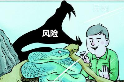 电影角色走红引发养蛇潮，异宠市场“野蛮生长”暗藏风险