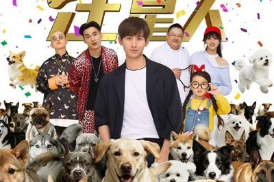 再次上映，这部青岛取景萌宠题材电影将于2月14日公映