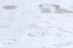 奥地利一天三场雪崩造成至少8人死亡