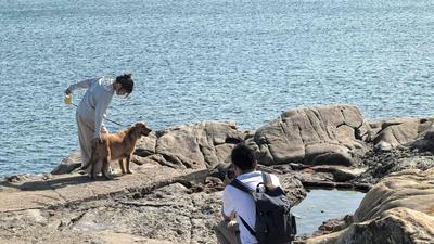 “吸貓擼狗”萬億大產業， 青島加速入局
