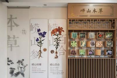 青岛这位90后中医有“针”功夫！医学院毕业回到家乡北宅，一副银针治百病