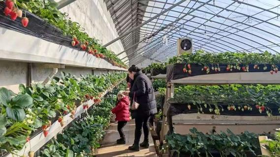 青岛：冬日“热”消费，为“体验”买单