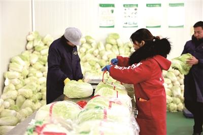 销路多点开花！来看“胶白”产业如何持续“大而强”→