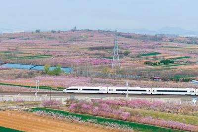 2025年国家铁路发送旅客42.55亿人次，发送货物40.66亿吨