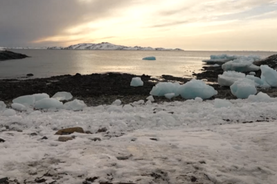 格陵兰岛总理：美动武可能性不大，会做好一切应对准备