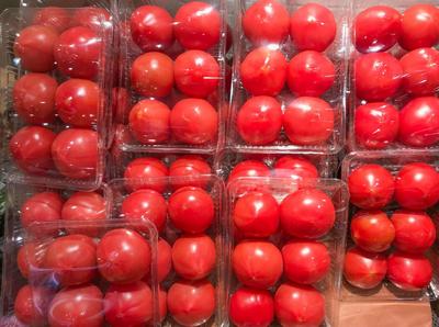 春节前西红柿价格仍将维持高位，“身价飙升”背后是何原因？