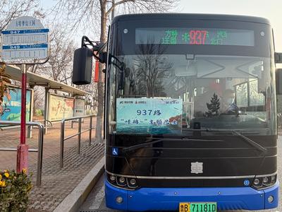 乘937路“哇鸥～”主题巴士赴约！城阳观鸥汀乘车攻略来了