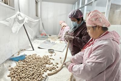 “熬”出甜蜜好日子！青岛一巧手村民制作糖瓜，年生产5万余斤销各地