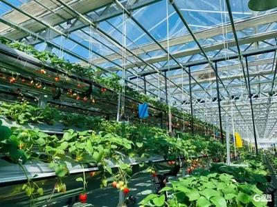 青岛一企业入选农业农村部农产品质量安全全程控制规范实施主体