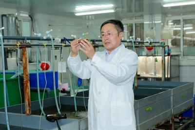 43人！走出海洋“一家独大”，青岛“院士天团”重塑创新版图