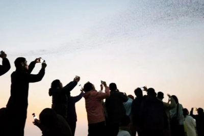 兩會(huì)熱評(píng) | 幸福生活，我們團(tuán)結(jié)拼搏共奮斗