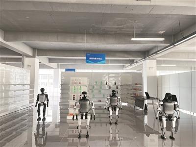 人形機(jī)器人的“崗前訓(xùn)練營(yíng)”