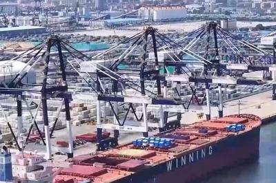 通关时间压缩50%，青岛港实现进出口物流“一单到底”