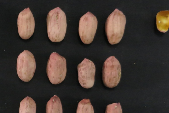 新春走基层｜产销旺季，“科技年货”送上门