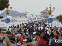 万鸥翔集，“舞热”青岛冬游