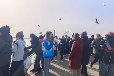 海滨蓝护春节红，青岛栈桥景区有一群最美守护者