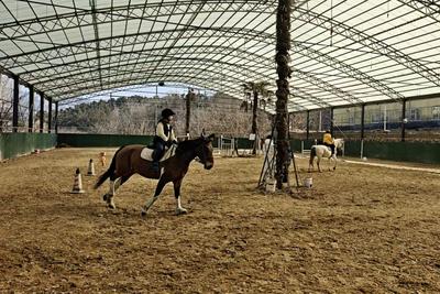 马年“马上”见！记者探访崂山沙子口马场，听马友讲述马背上的青岛故事