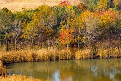 我國(guó)濕地面積居亞洲第一、世界第四