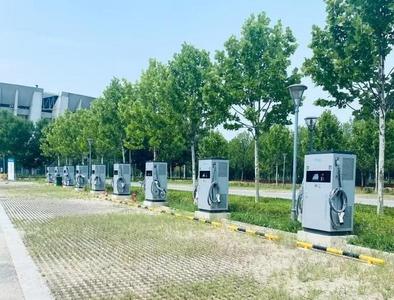 青島金融監(jiān)管局推動新型政策性金融工具高效落地