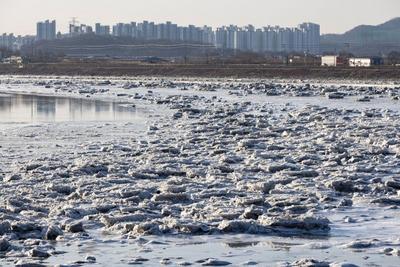 涉嫌操縱民生商品價(jià)格，韓國52名企業(yè)高管遭起訴