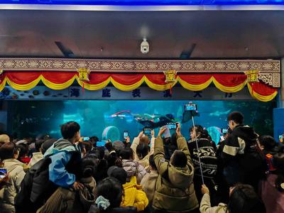每天20场表演轮番登场，青岛海底世界春节国潮盛宴“饱”眼福