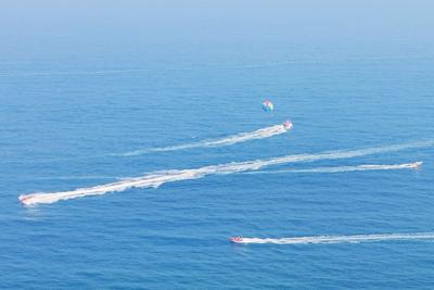 “海洋十年”中国答卷：沪青各领风骚