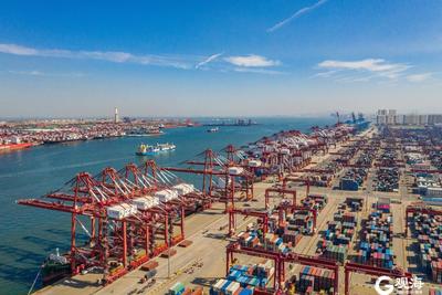 青岛国际能源自贸港：启用8个月招引贸易企业240家