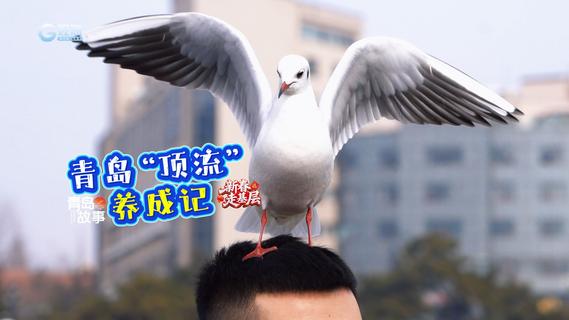 新春走基层丨32年的冬日之约，青岛“顶流”养成记