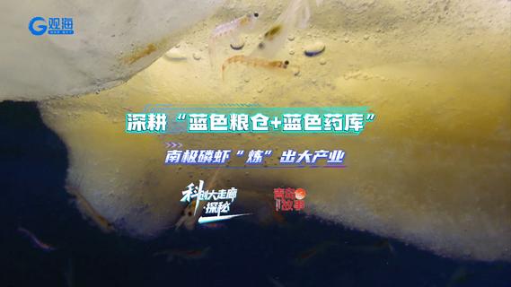 青岛科创大走廊·探秘丨深耕“蓝色粮仓+蓝色药库”，南极磷虾“炼”出大产业