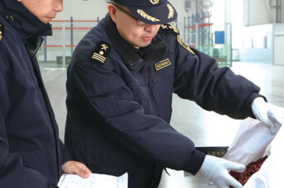 新春走基层 | 综保区内，年货堆里“守门”忙