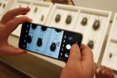 手机有望实现超长待机！中国团队有新突破