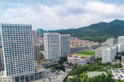 量质齐升！2025年市南区工业经济发展向优向新