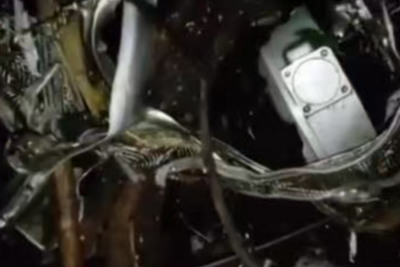 印度发生医疗专机坠毁事故，致7人死亡