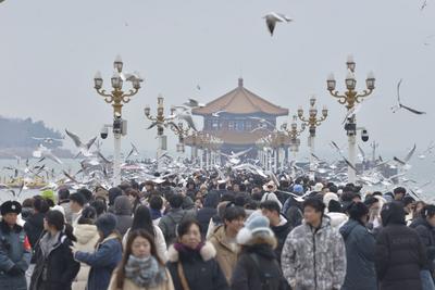 周知！青岛栈桥景区发布重要提示