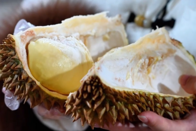 新春走基层丨15秒通关瓜果香