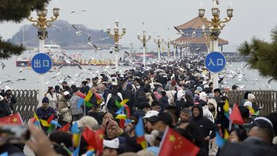 万鸥翔集，“舞热”青岛冬游