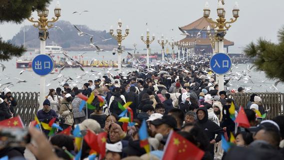 万鸥翔集，“舞热”青岛冬游