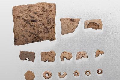 裴李岗遗址发现约2.6万年前鸵鸟蛋壳加工场