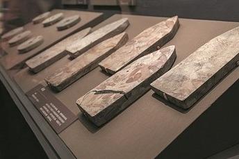 接连填补区域学术空白！青岛近五年考古硕果盈枝