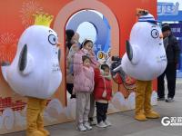 万鸥翔集，“舞热”青岛冬游