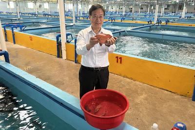 中国水产科学研究院黄海水产研究所：摸清名贵海鱼“脾气”，实现“南鱼北养”