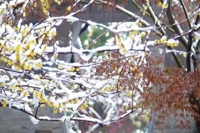 长三角在下“烂暴雪”？什么是“烂暴雪”？