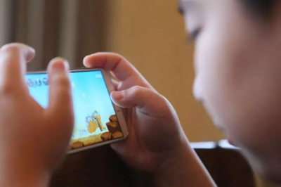 我国网民规模达11.25亿人