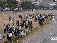 万鸥翔集，“舞热”青岛冬游