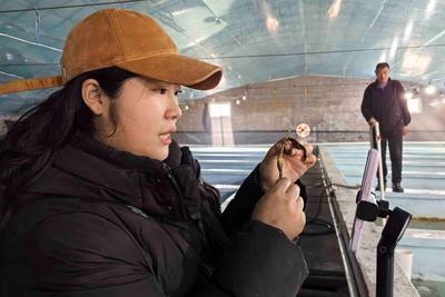 万“马”奔腾！青岛00后大学生返乡创业养海马，年销售额超200万元