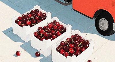 2026年1月科学领域流言榜发布