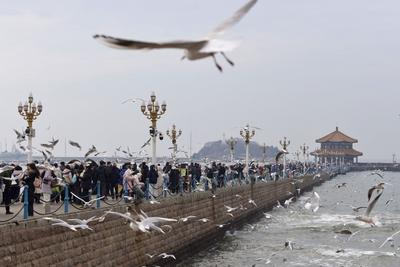 青岛今天晴间多云，市区最高气温9℃，最低气温4℃